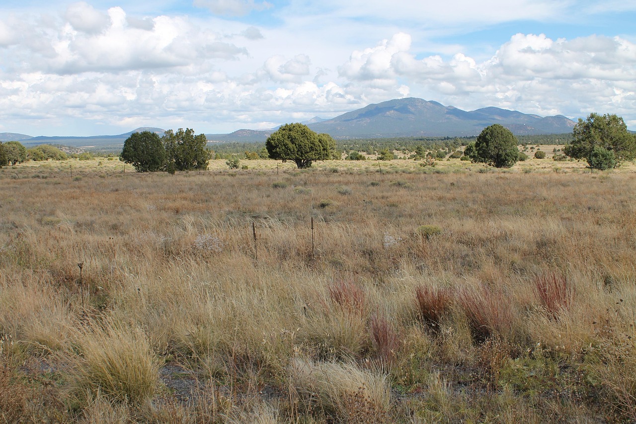 who-we-are arizona, nature, landscape, mountain