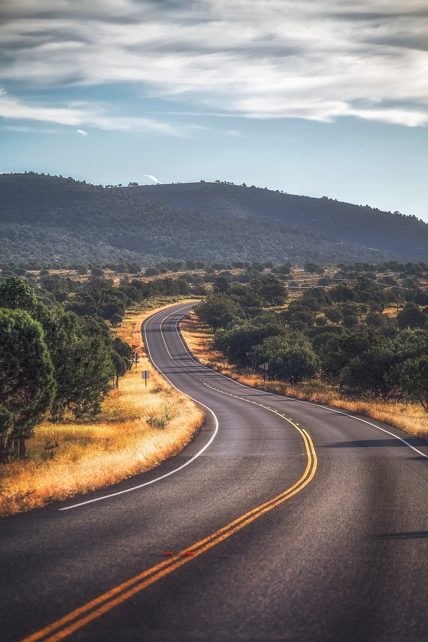 get-in-touch road, trees, desert, hill, arizona, nature, landscape